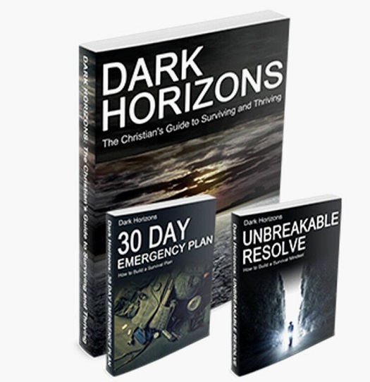 Dark Horizons The Final Collapse Review – Be Prepared to Thrive Book
